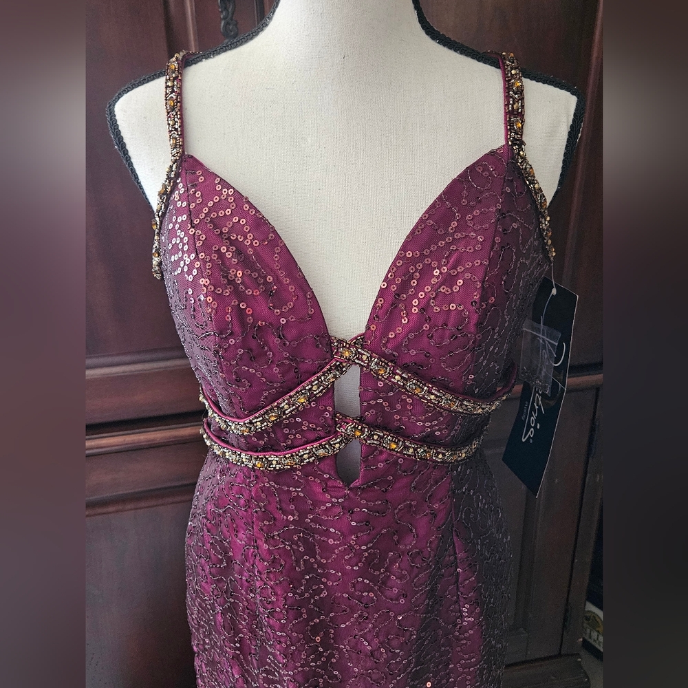 Elegant Burgundy Sequin Gown